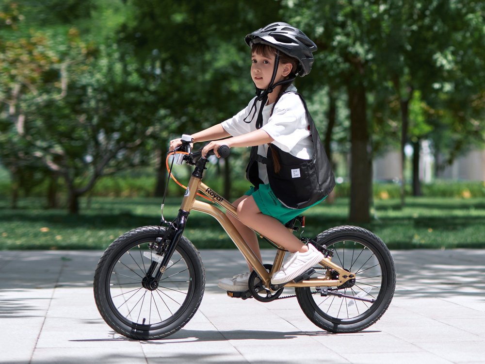 Royalbaby dječji bicikl Cable 16" zlatni