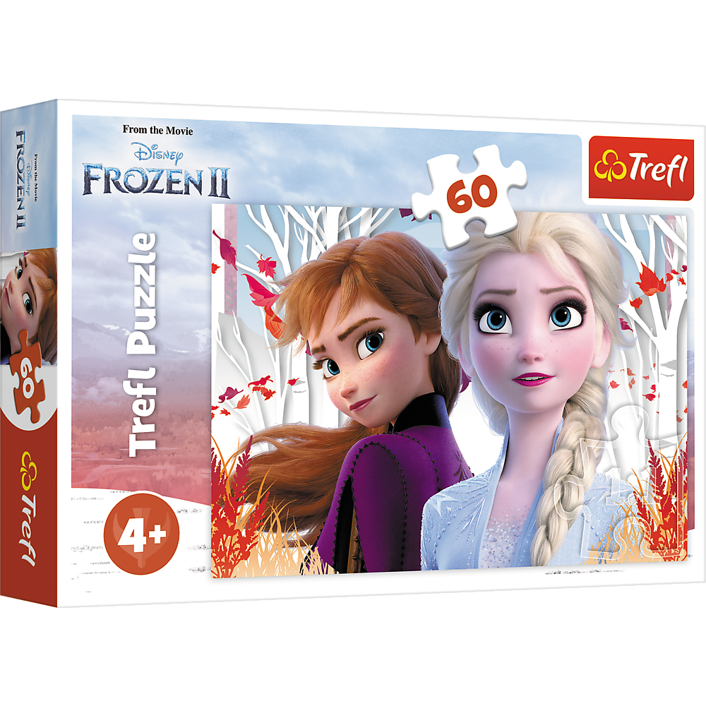 Puzzle - 60 - Čarobni svijet Anne i Else Trefl 17333