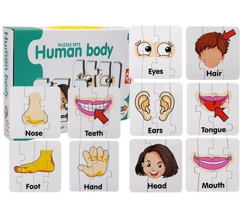 Edukativne puzzle - djelovi tijela na engleskom