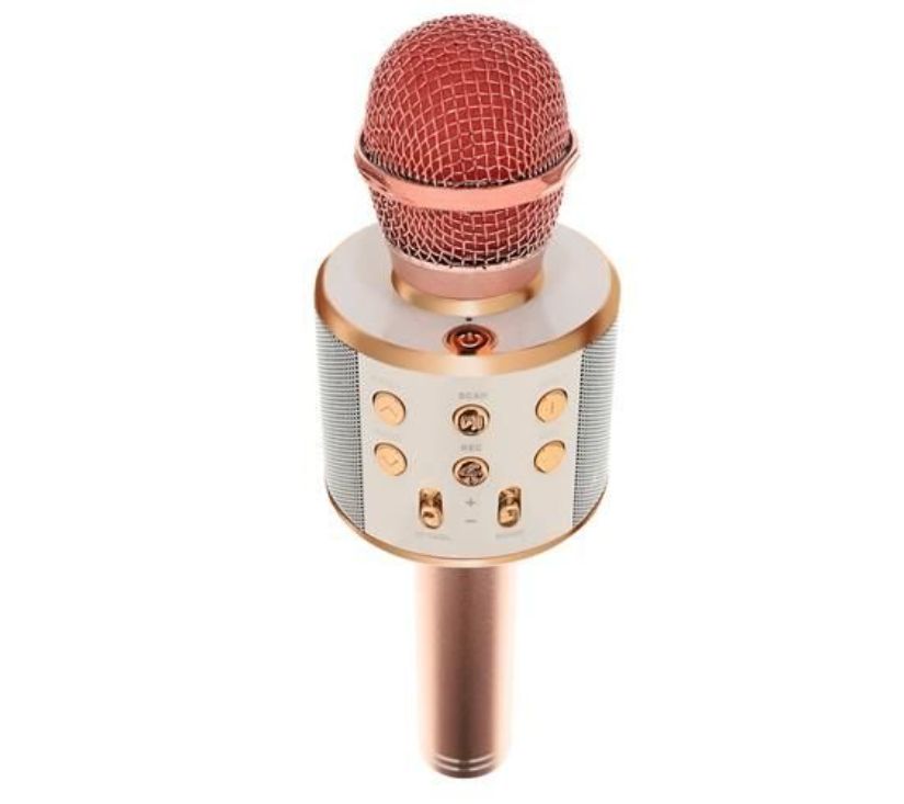 Karaoke mikrofon s zvučnikom rozi