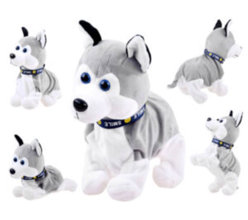 Interaktivni pas sivi