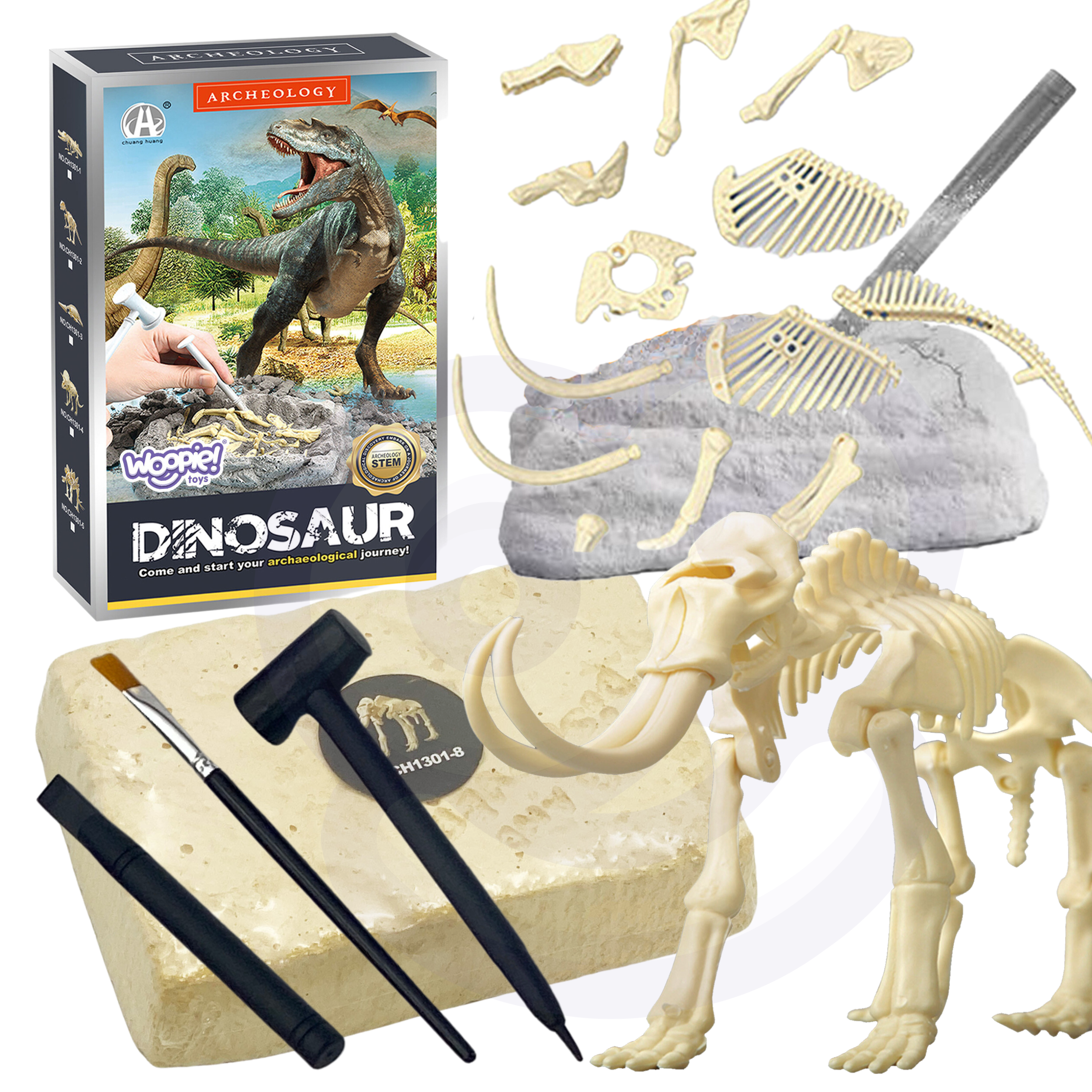 WOOPIE Kreativna igračka Arheološka iskopavanja kostura dinosaura